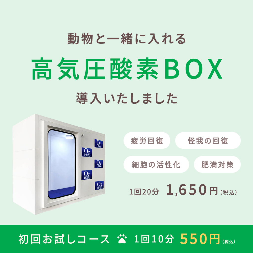 高気圧酸素BOX導入のお知らせ＿SP
