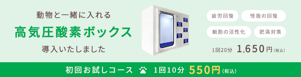 高気圧酸素BOX導入のお知らせ_PC