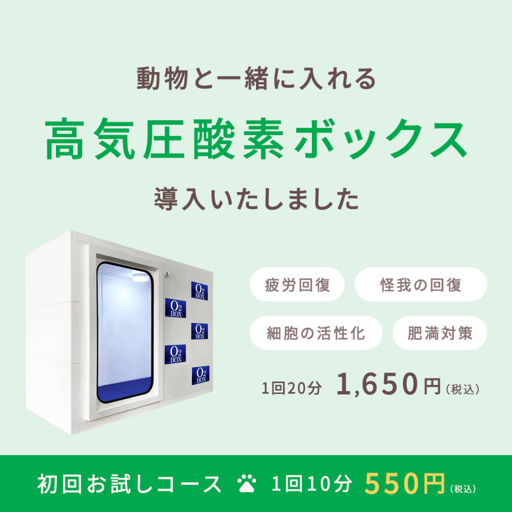 高気圧酸素BOX導入のお知らせ_SP