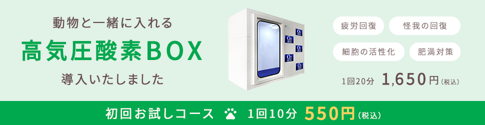 高気圧酸素BOX導入のお知らせ＿PC